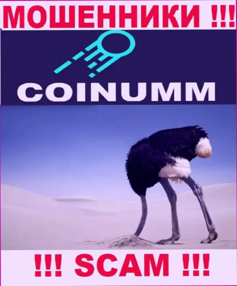 Компания Coinumm Com не имеет регулятора и лицензии на осуществление деятельности