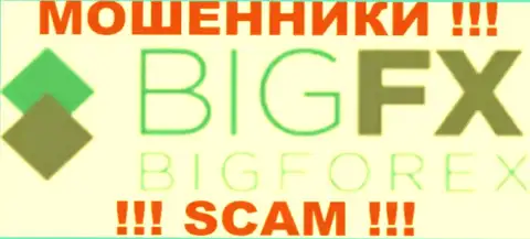 BigFX Net - это ФОРЕКС КУХНЯ !!! SCAM !!!