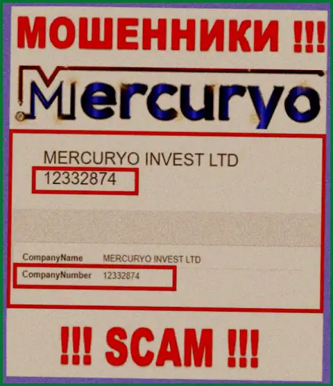 Номер регистрации преступно действующей организации Меркурио Ко - 12332874