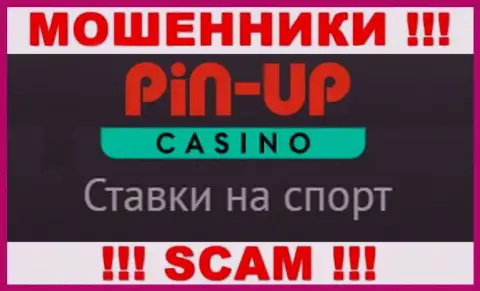 Основна діяльність Pinupcasino - це казино, бути пильним, робочим злочинцем
