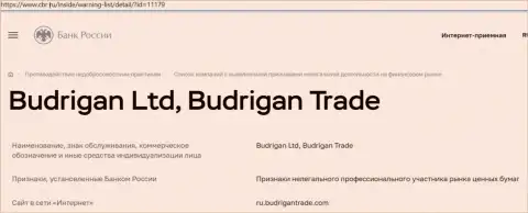 Мошенники BudriganTrade попали в черный список Центрального Банка РФ