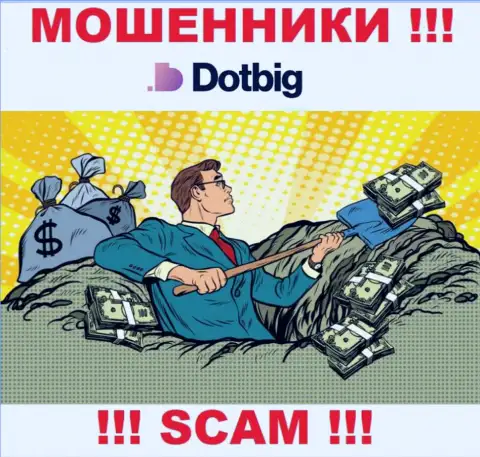 DotBig LTD работает только лишь на прием денежных средств, так что не стоит вестись на дополнительные вливания