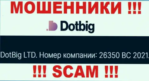 Номер регистрации мошенников DotBig Com, представленный ими у них на интернет-сервисе: 26350 BC 2021