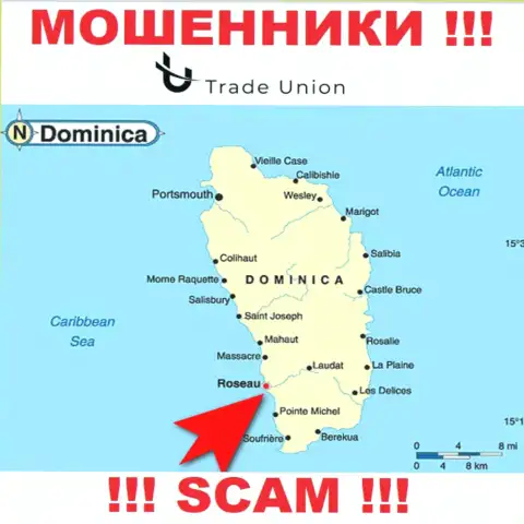 Commonwealth of Dominica - именно здесь зарегистрирована организация Trade-Union Pro